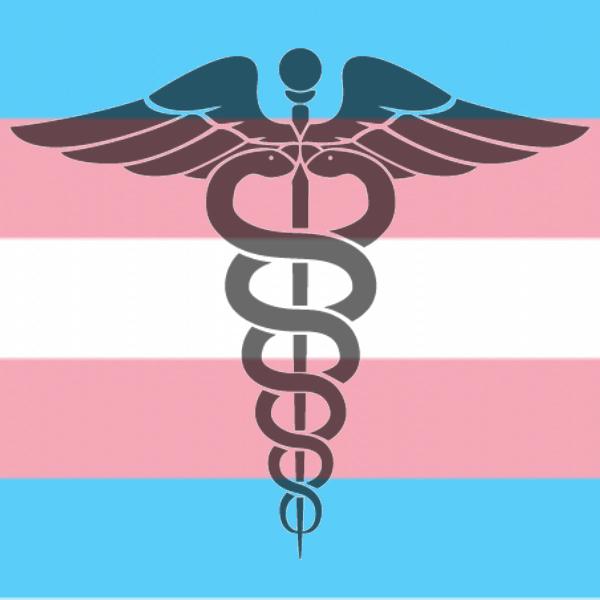 7 Barriers to Gender-Affirming Care and How to Overcome Them - Dr. Laura on Livestrong.com